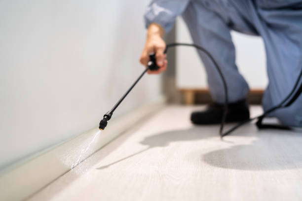 Licensed Termite Control service in Eunice, LA - Nex Pest Control