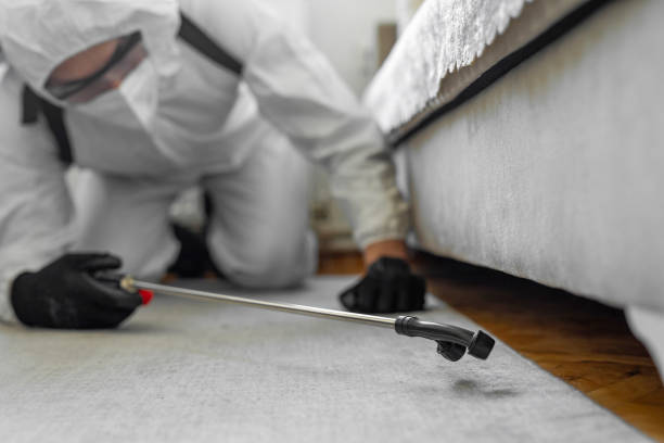 Professional Termite Control technician working in Eunice, LA