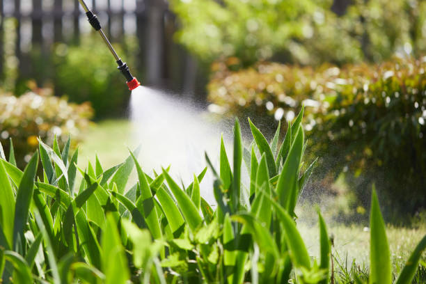24/7 Emergency Termite Control experts in Eunice, LA