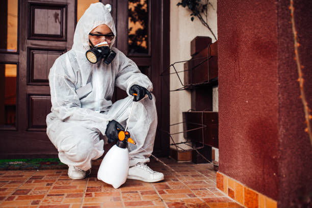 Reliable Termite Control contractor in Eunice, LA by Nex Pest Control