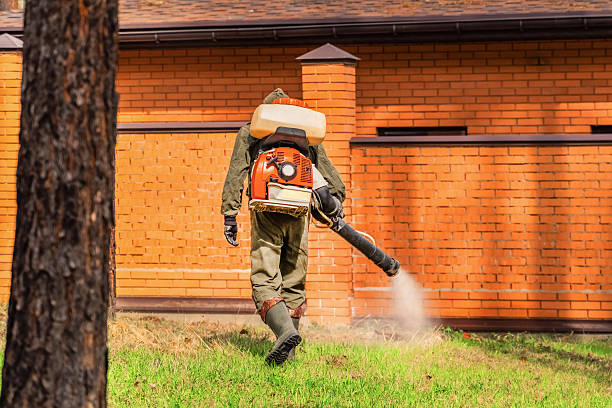 Top rated local Termite Control specialists in Eunice, LA